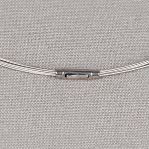 Spang edelstaal 10-draads krokodilbeksluiting