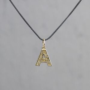Collier zilver oxy + hanger 14 karaat alfabet