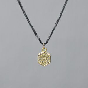 3D GOLD | Collier zilver oxy + 3D hanger G14K hexagon