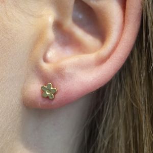 Oorsteker zilver verguld Bloem