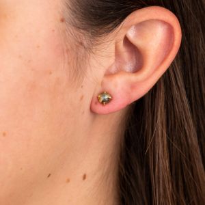 Oorbel Roos met Labradoriet