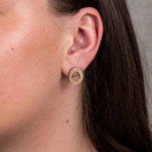 Oorbel zilver + verguld Kringen