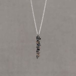 Collier zilver + Twister oxy + 9 krt