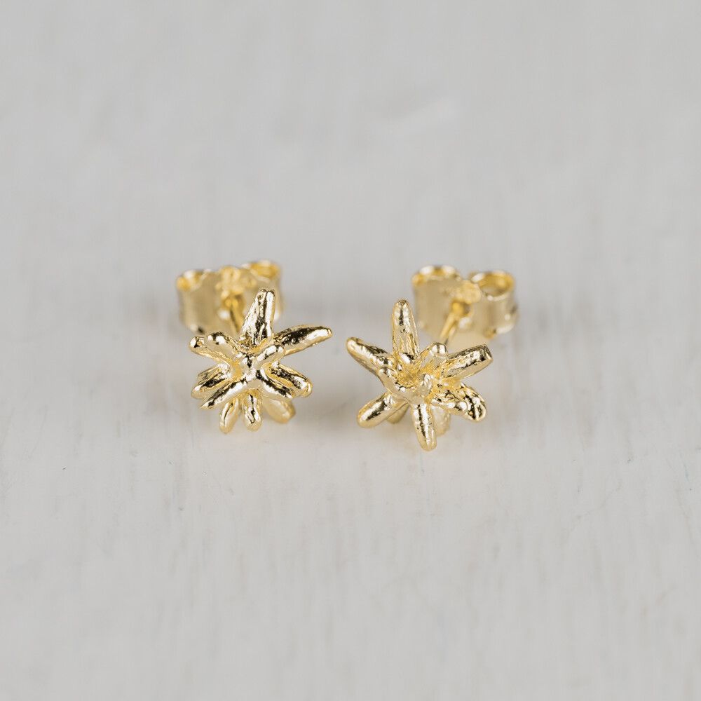 Oorsteker firework zilver verguld