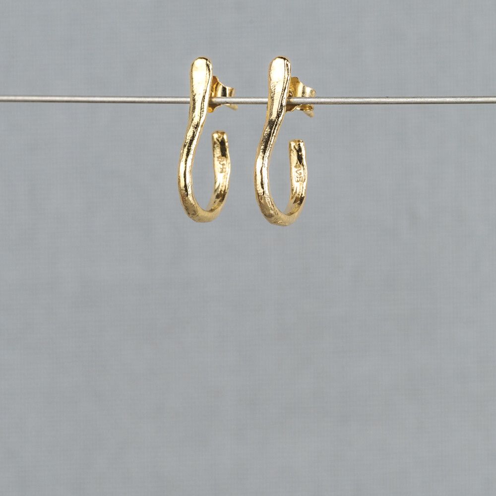 Oorhoepel hoef verguld