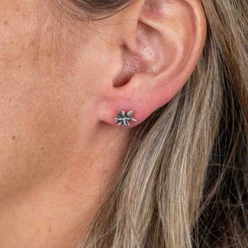 Clous d'oreille feu d'artifice argenté oxy 