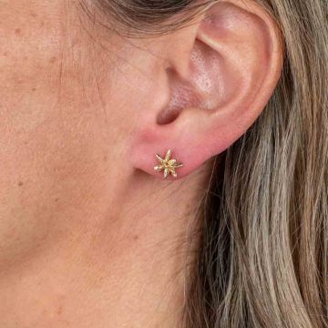 Earstuds firework gold-plated