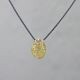 Collier zilver oxy + organische hanger van 14 karaat goud
