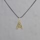 Collier zilver oxy + hanger 14 karaat alfabet